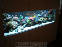 Morské akvárium 500L, rozmery 200x650x50cm